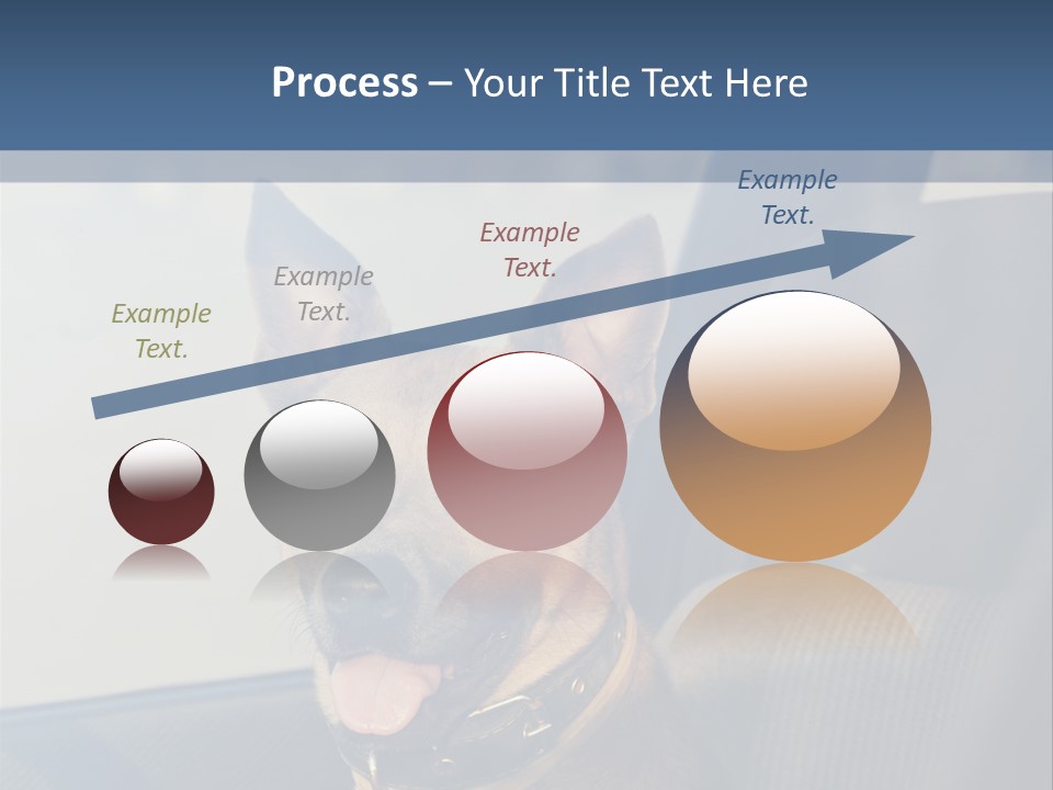 A Dog Is Sitting In The Back Seat Of A Car PowerPoint Template
