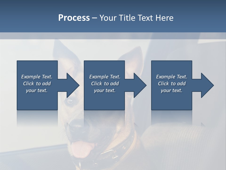 A Dog Is Sitting In The Back Seat Of A Car PowerPoint Template