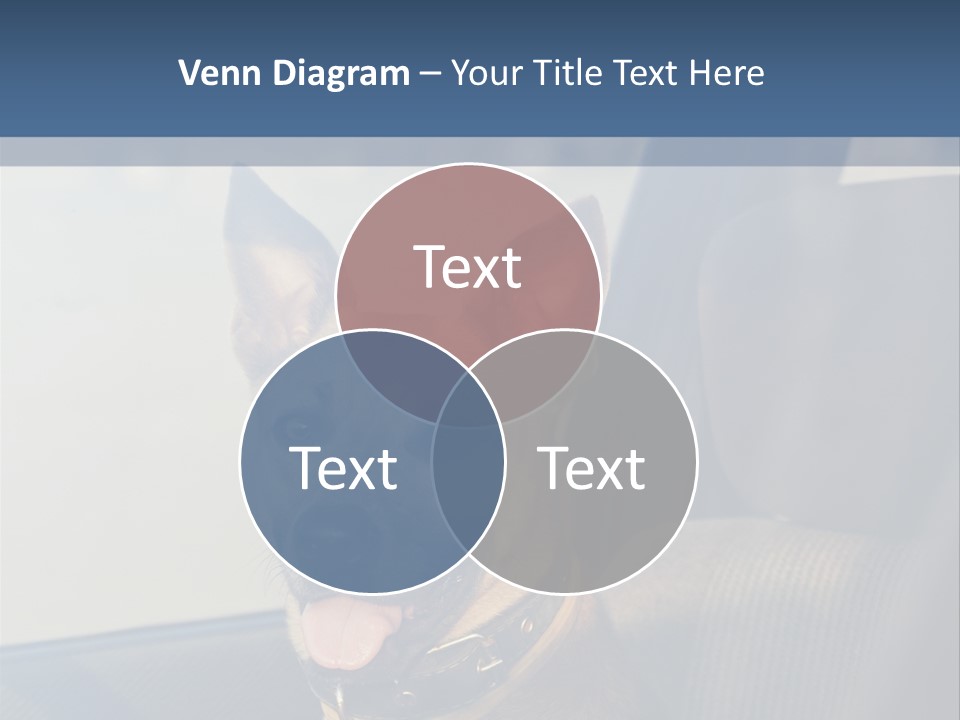 A Dog Is Sitting In The Back Seat Of A Car PowerPoint Template