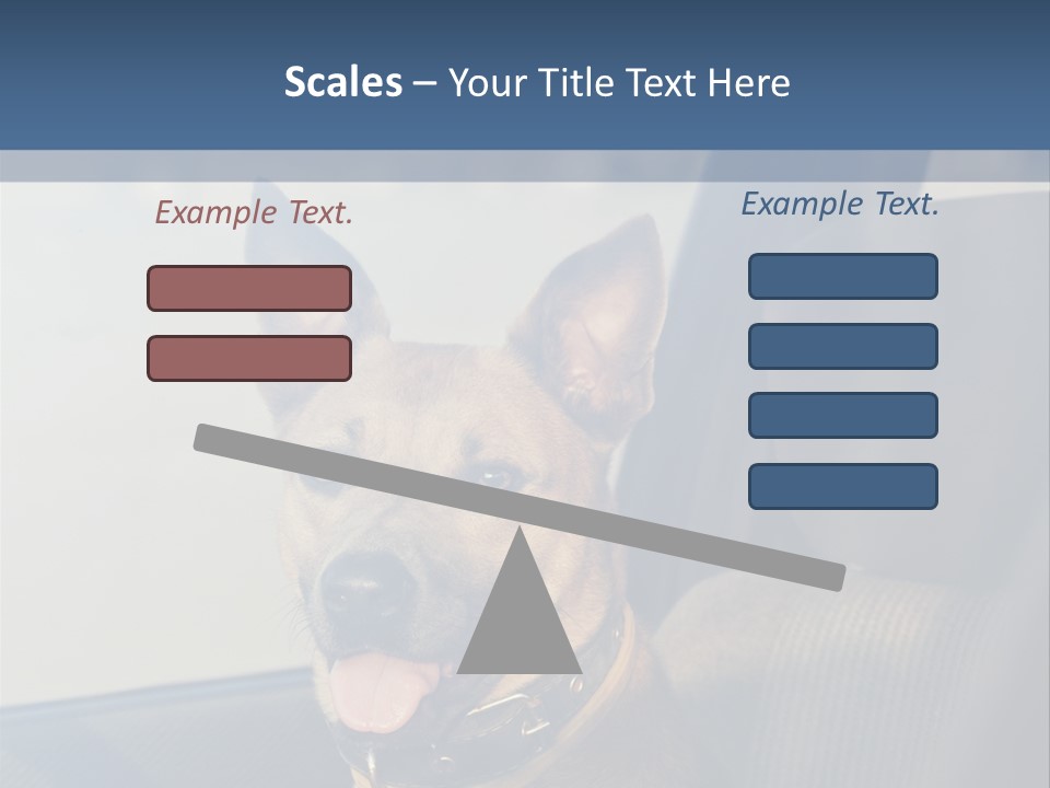 A Dog Is Sitting In The Back Seat Of A Car PowerPoint Template