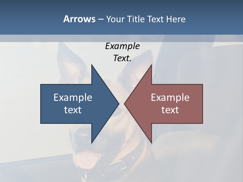 A Dog Is Sitting In The Back Seat Of A Car PowerPoint Template