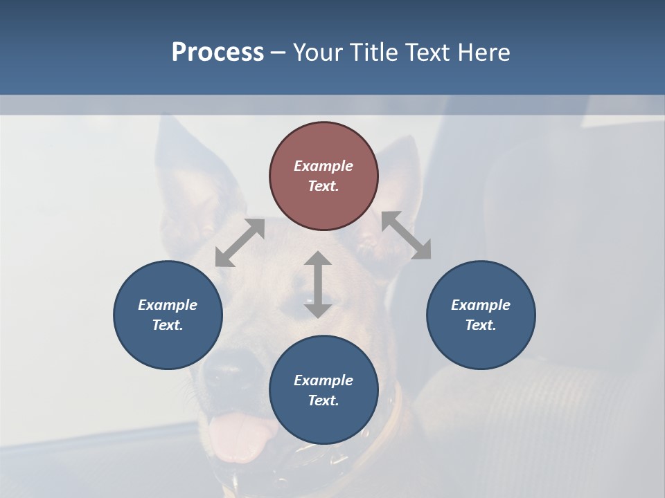 A Dog Is Sitting In The Back Seat Of A Car PowerPoint Template