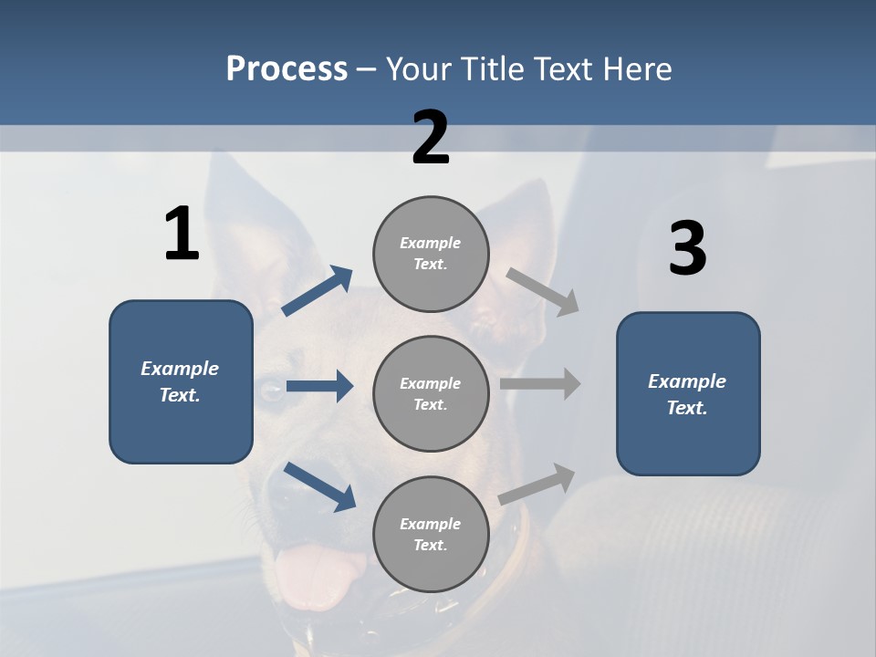 A Dog Is Sitting In The Back Seat Of A Car PowerPoint Template
