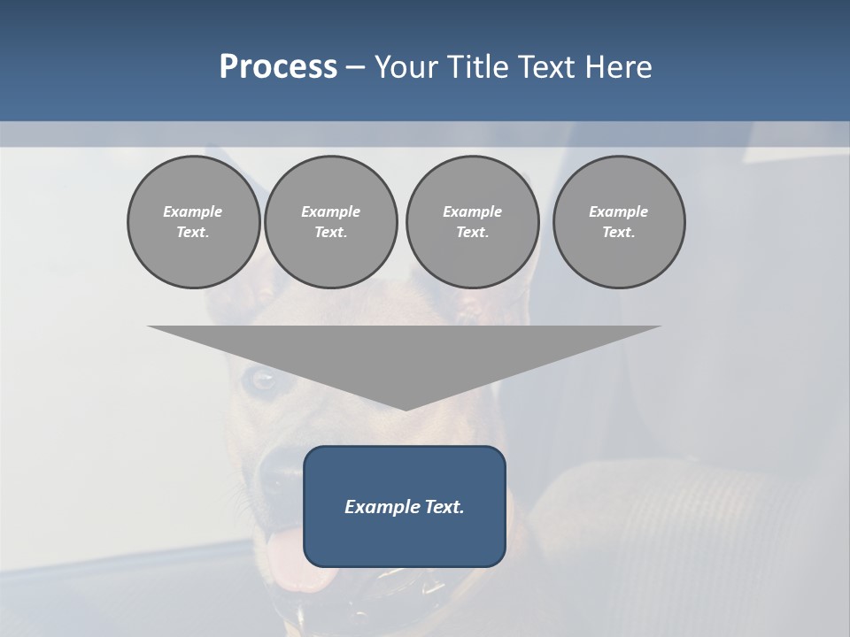 A Dog Is Sitting In The Back Seat Of A Car PowerPoint Template