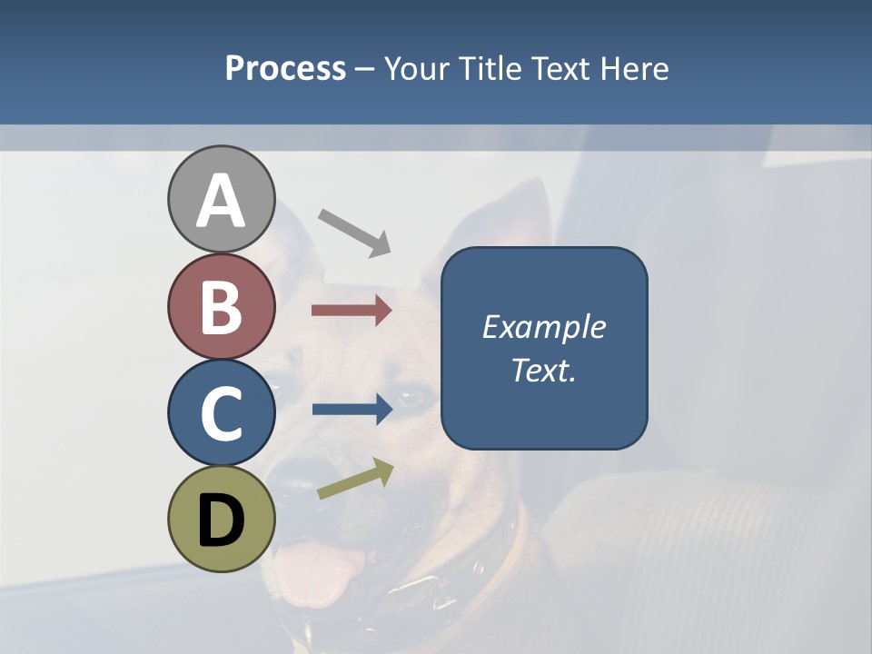 A Dog Is Sitting In The Back Seat Of A Car PowerPoint Template