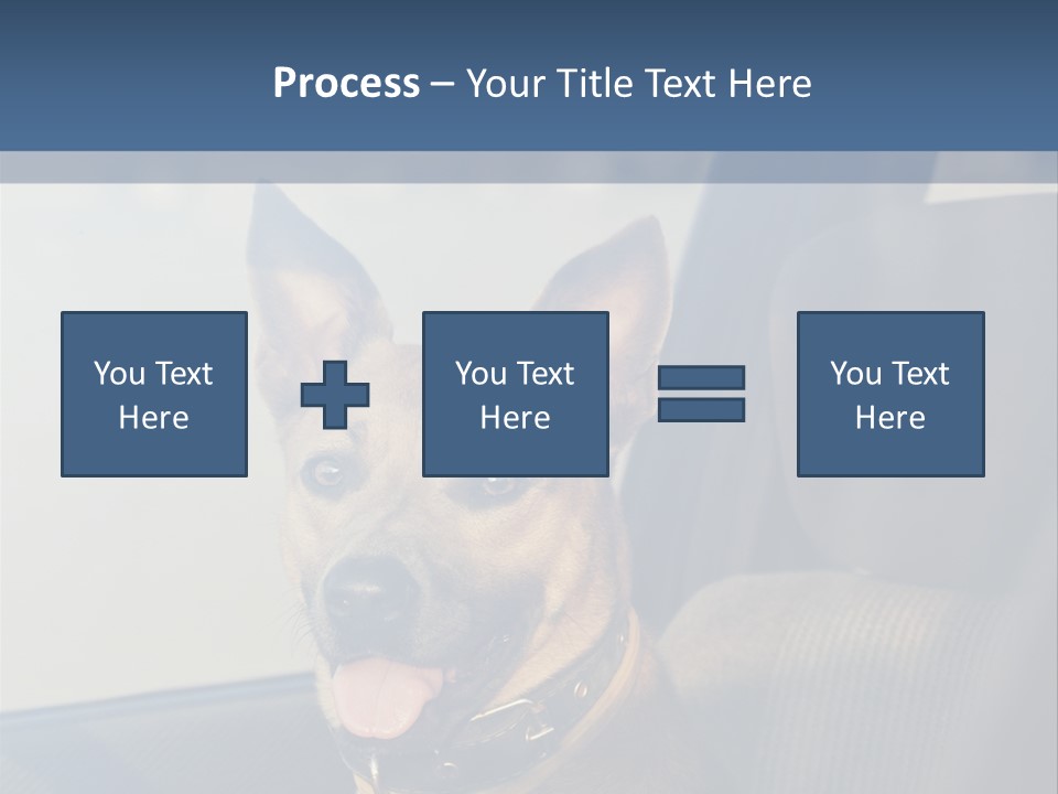 A Dog Is Sitting In The Back Seat Of A Car PowerPoint Template