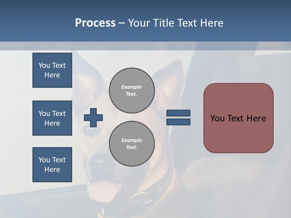 A Dog Is Sitting In The Back Seat Of A Car PowerPoint Template