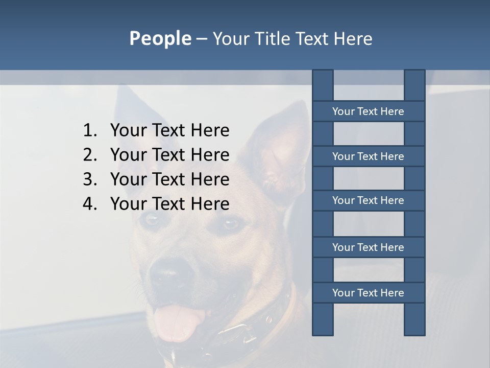 A Dog Is Sitting In The Back Seat Of A Car PowerPoint Template