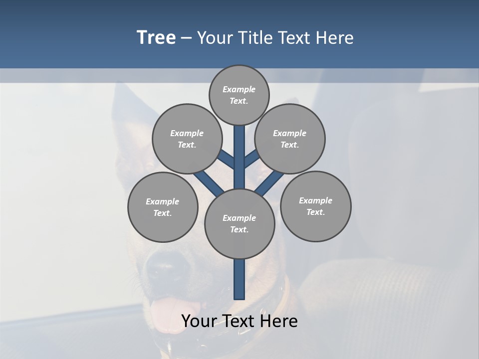A Dog Is Sitting In The Back Seat Of A Car PowerPoint Template