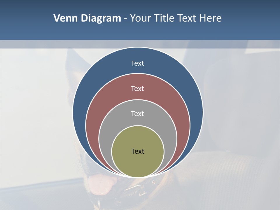 A Dog Is Sitting In The Back Seat Of A Car PowerPoint Template