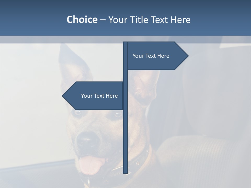A Dog Is Sitting In The Back Seat Of A Car PowerPoint Template