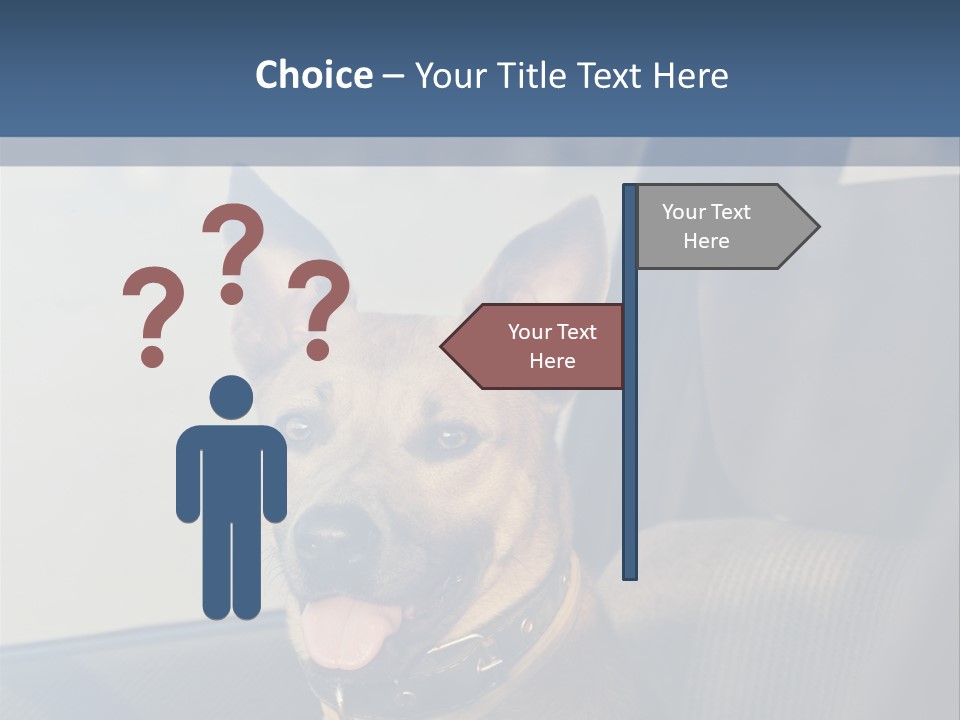 A Dog Is Sitting In The Back Seat Of A Car PowerPoint Template