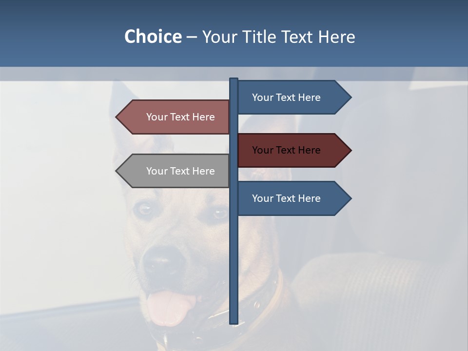 A Dog Is Sitting In The Back Seat Of A Car PowerPoint Template