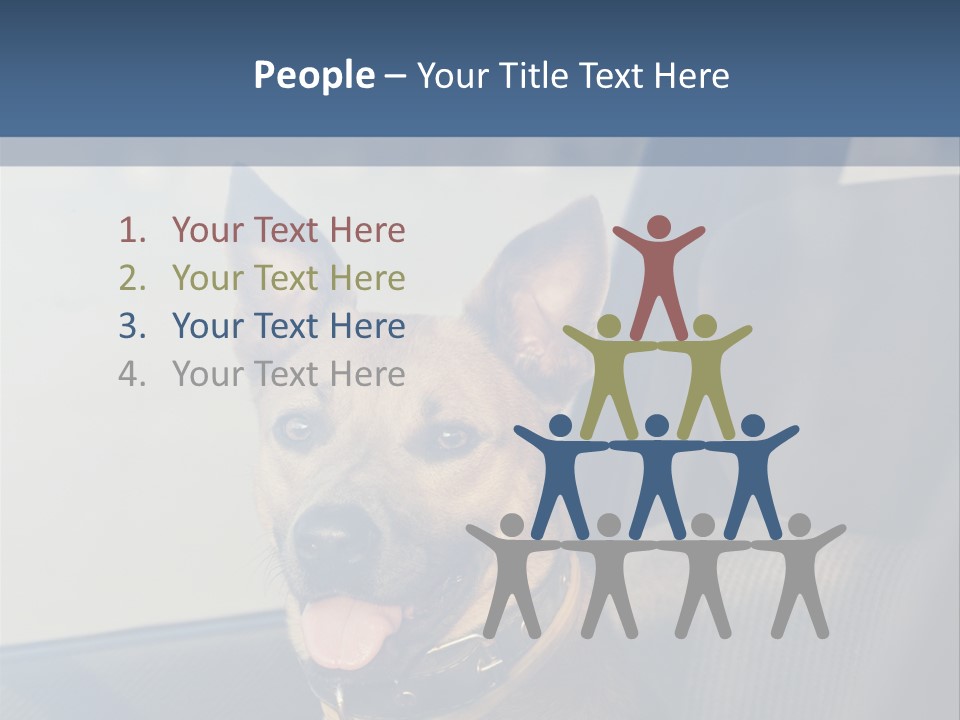 A Dog Is Sitting In The Back Seat Of A Car PowerPoint Template