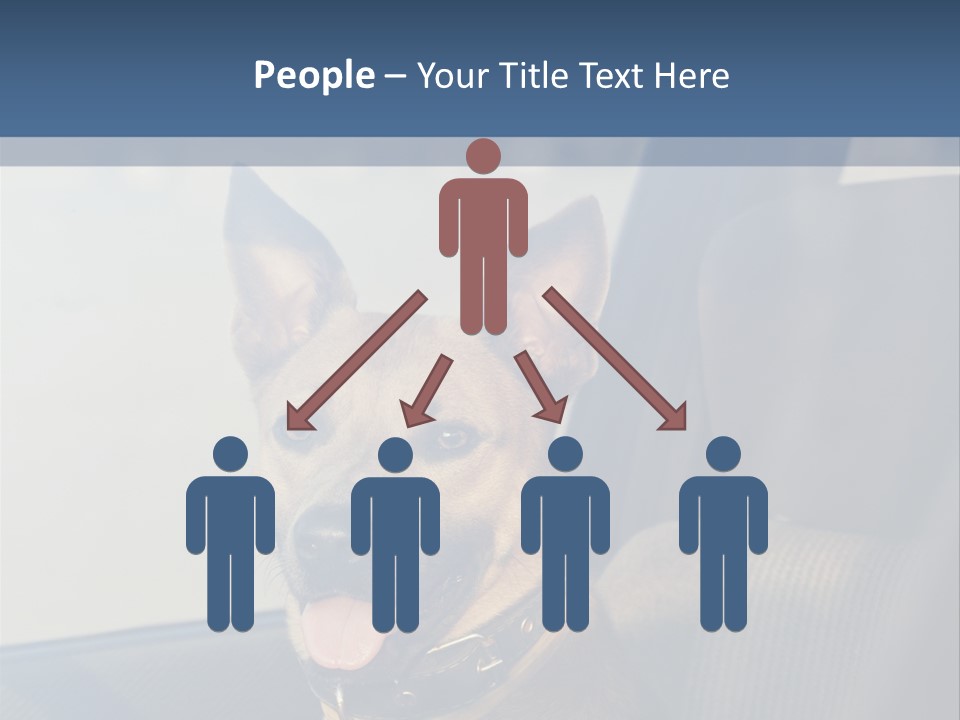 A Dog Is Sitting In The Back Seat Of A Car PowerPoint Template