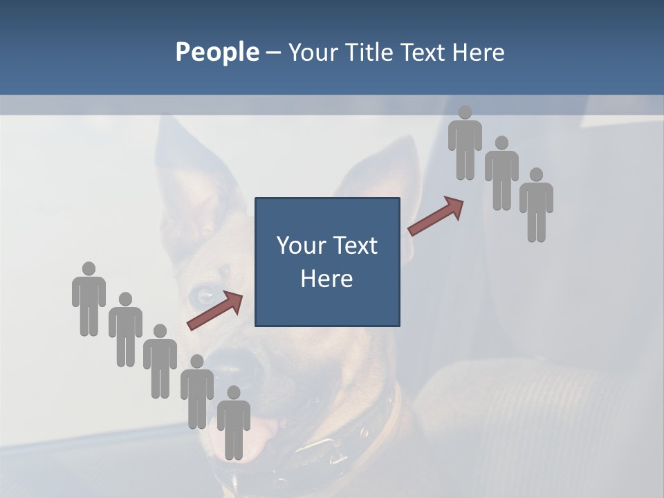 A Dog Is Sitting In The Back Seat Of A Car PowerPoint Template