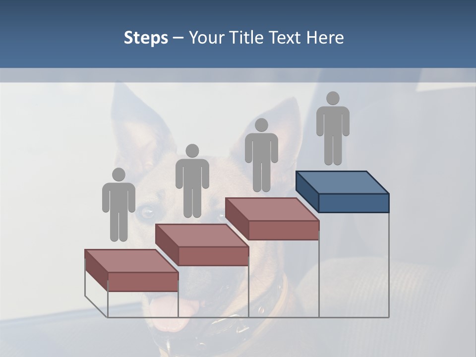 A Dog Is Sitting In The Back Seat Of A Car PowerPoint Template