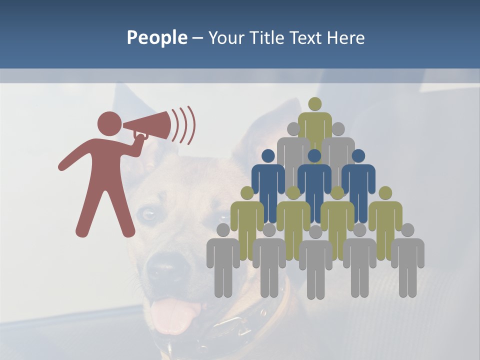 A Dog Is Sitting In The Back Seat Of A Car PowerPoint Template