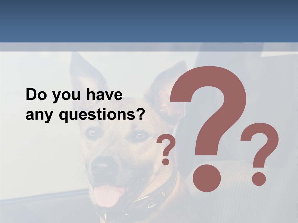 A Dog Is Sitting In The Back Seat Of A Car PowerPoint Template