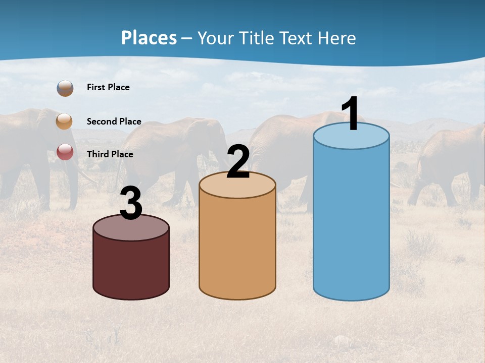 A Herd Of Elephants Walking Across A Dry Grass Field PowerPoint Template