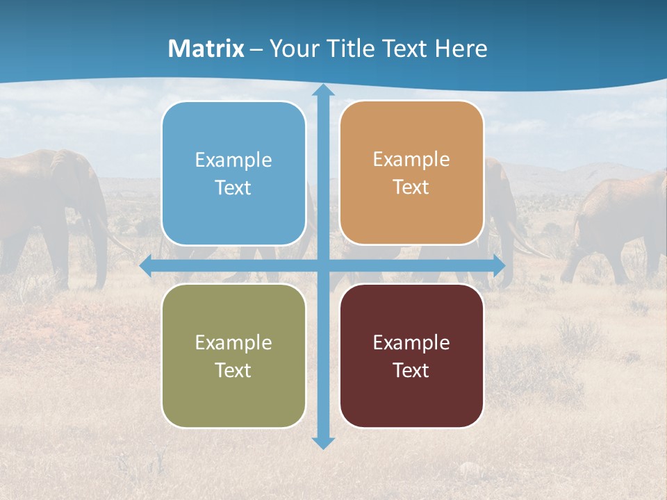 A Herd Of Elephants Walking Across A Dry Grass Field PowerPoint Template