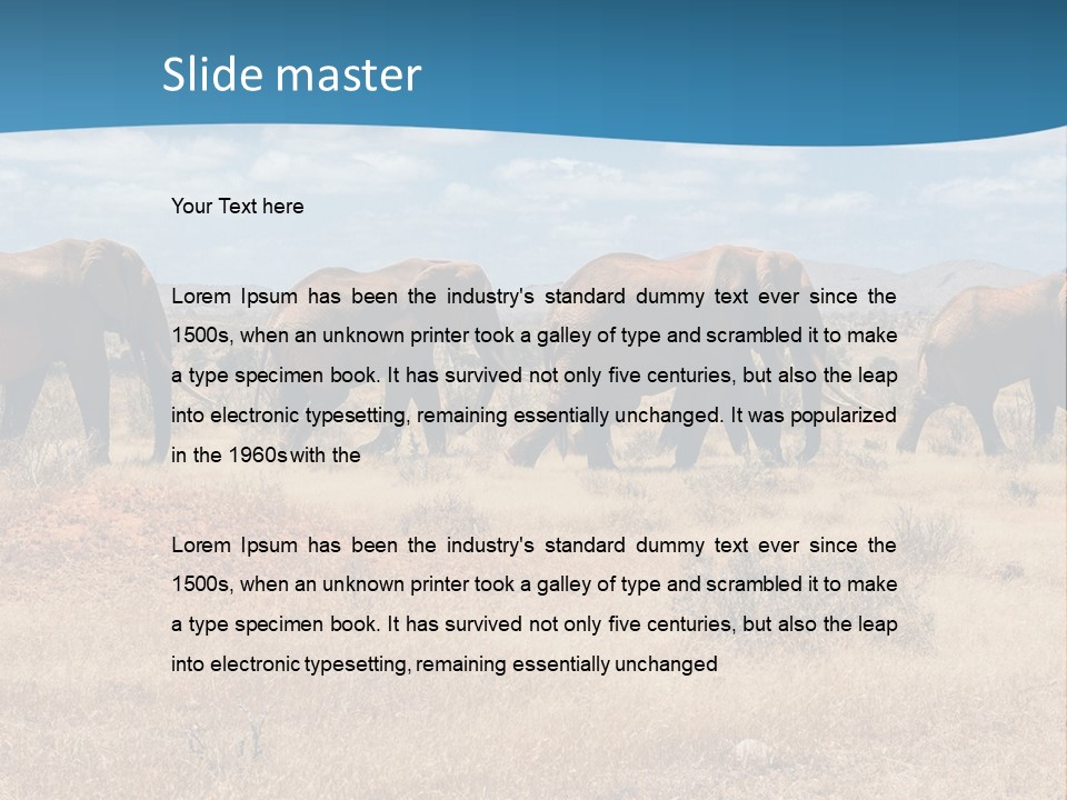 A Herd Of Elephants Walking Across A Dry Grass Field PowerPoint Template