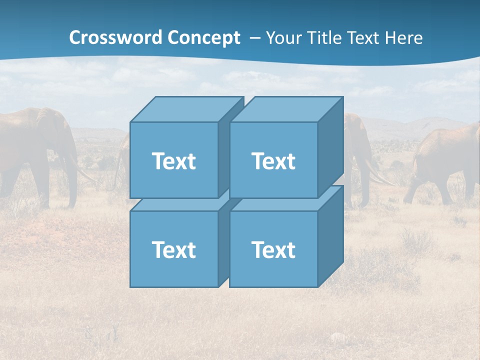 A Herd Of Elephants Walking Across A Dry Grass Field PowerPoint Template