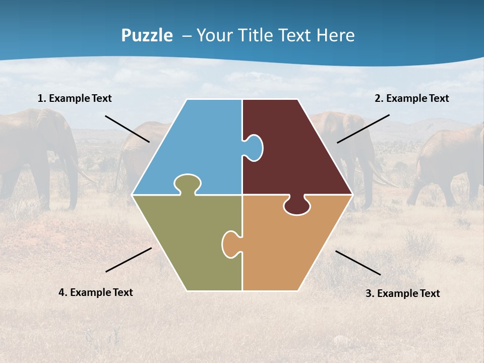A Herd Of Elephants Walking Across A Dry Grass Field PowerPoint Template