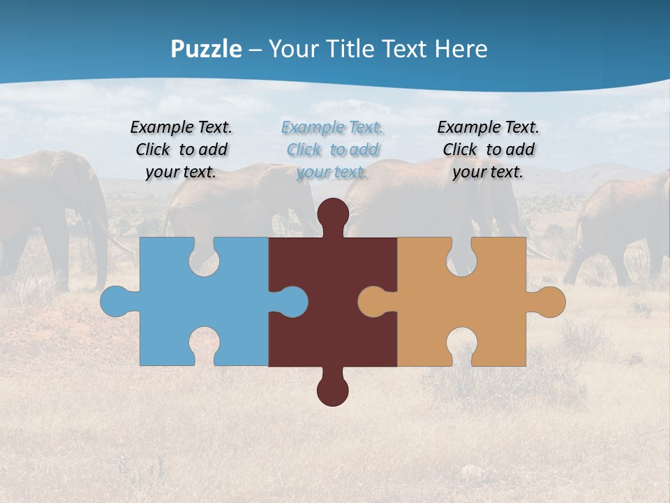 A Herd Of Elephants Walking Across A Dry Grass Field PowerPoint Template