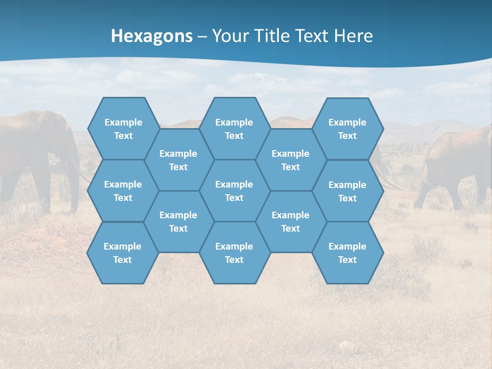 A Herd Of Elephants Walking Across A Dry Grass Field PowerPoint Template
