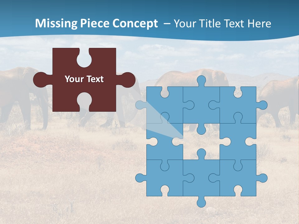 A Herd Of Elephants Walking Across A Dry Grass Field PowerPoint Template