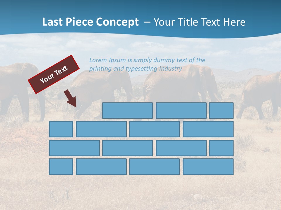 A Herd Of Elephants Walking Across A Dry Grass Field PowerPoint Template