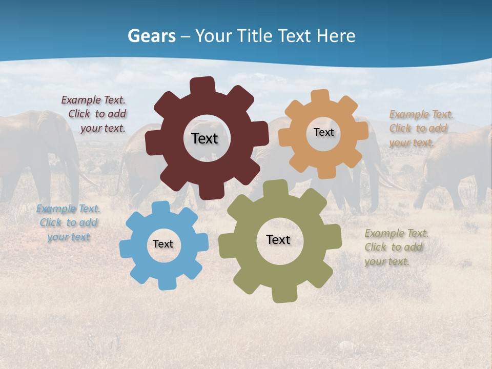 A Herd Of Elephants Walking Across A Dry Grass Field PowerPoint Template
