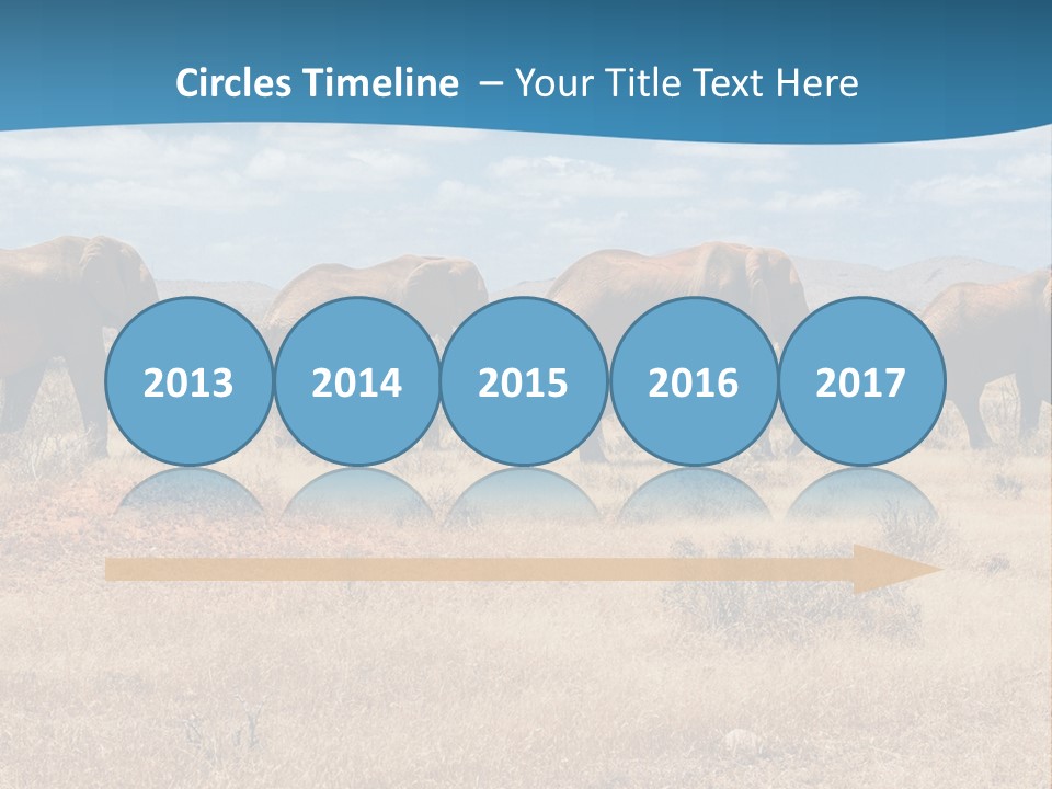 A Herd Of Elephants Walking Across A Dry Grass Field PowerPoint Template