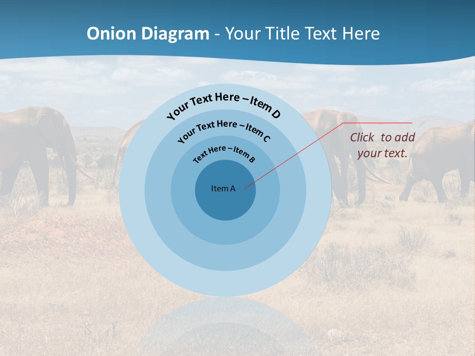 A Herd Of Elephants Walking Across A Dry Grass Field PowerPoint Template