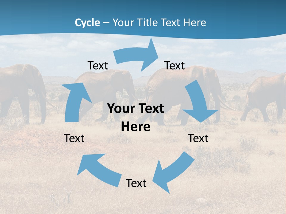 A Herd Of Elephants Walking Across A Dry Grass Field PowerPoint Template