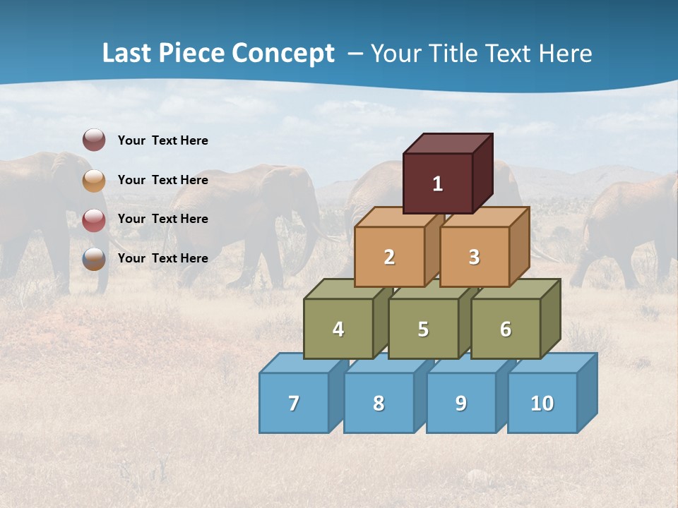 A Herd Of Elephants Walking Across A Dry Grass Field PowerPoint Template