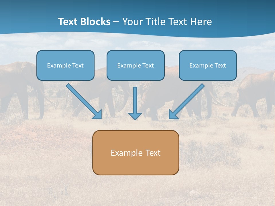 A Herd Of Elephants Walking Across A Dry Grass Field PowerPoint Template