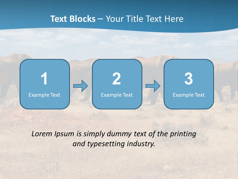 A Herd Of Elephants Walking Across A Dry Grass Field PowerPoint Template