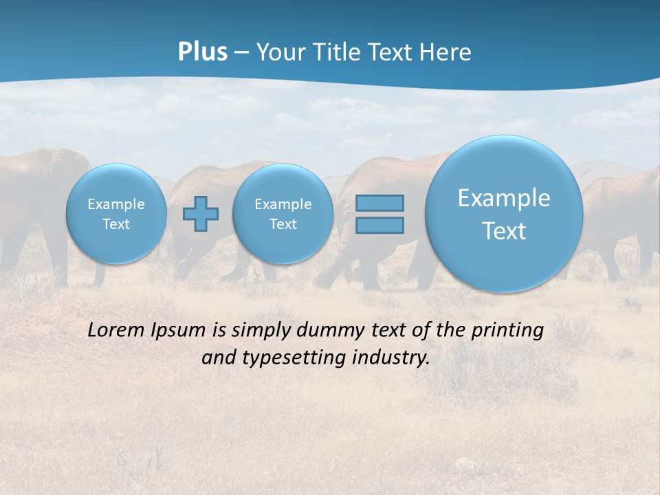 A Herd Of Elephants Walking Across A Dry Grass Field PowerPoint Template