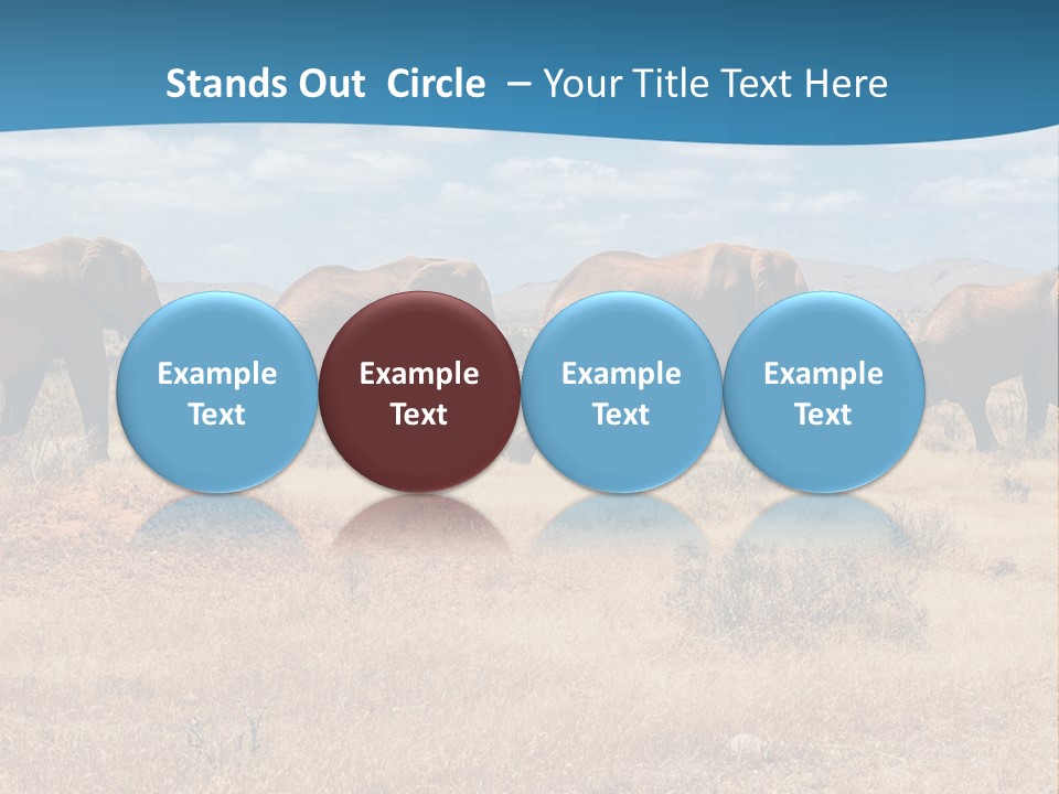A Herd Of Elephants Walking Across A Dry Grass Field PowerPoint Template