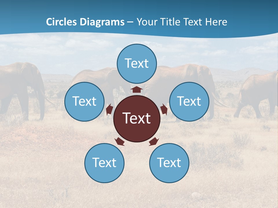 A Herd Of Elephants Walking Across A Dry Grass Field PowerPoint Template