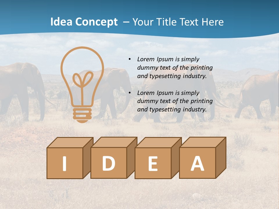 A Herd Of Elephants Walking Across A Dry Grass Field PowerPoint Template
