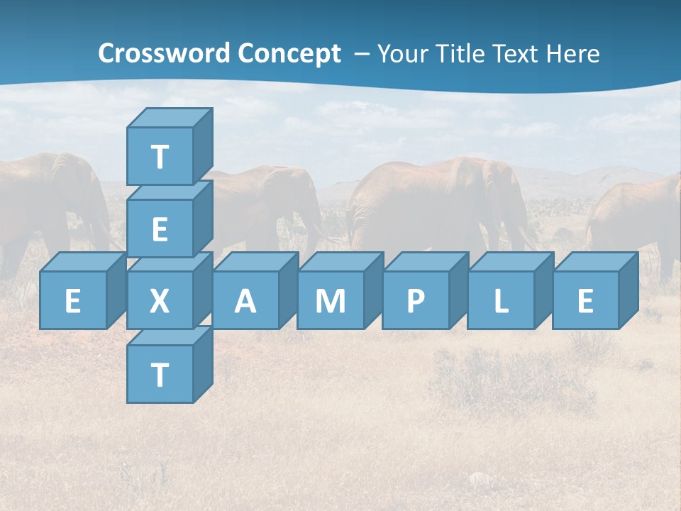 A Herd Of Elephants Walking Across A Dry Grass Field PowerPoint Template