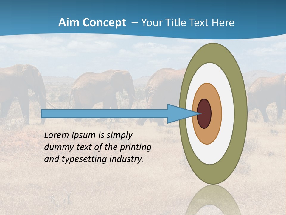 A Herd Of Elephants Walking Across A Dry Grass Field PowerPoint Template