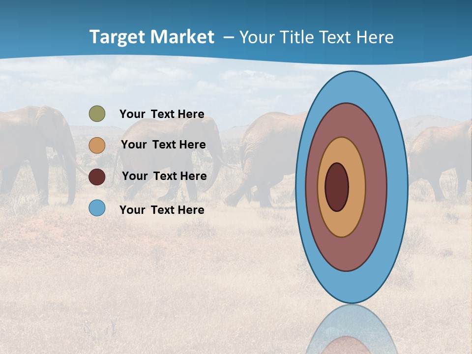 A Herd Of Elephants Walking Across A Dry Grass Field PowerPoint Template