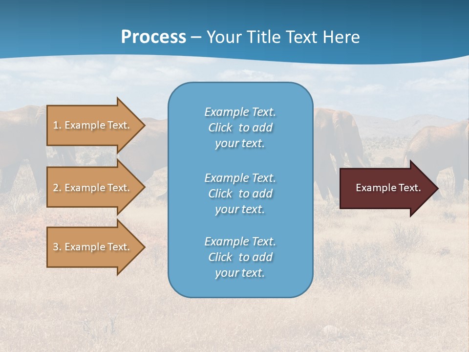 A Herd Of Elephants Walking Across A Dry Grass Field PowerPoint Template