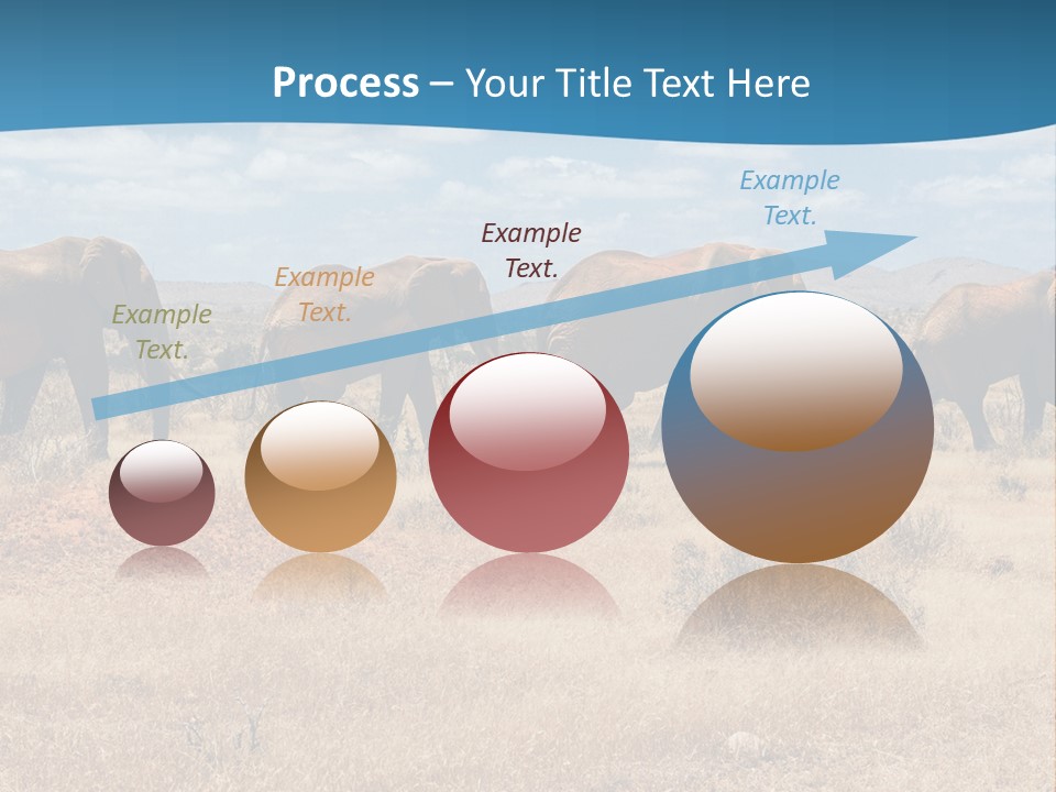 A Herd Of Elephants Walking Across A Dry Grass Field PowerPoint Template