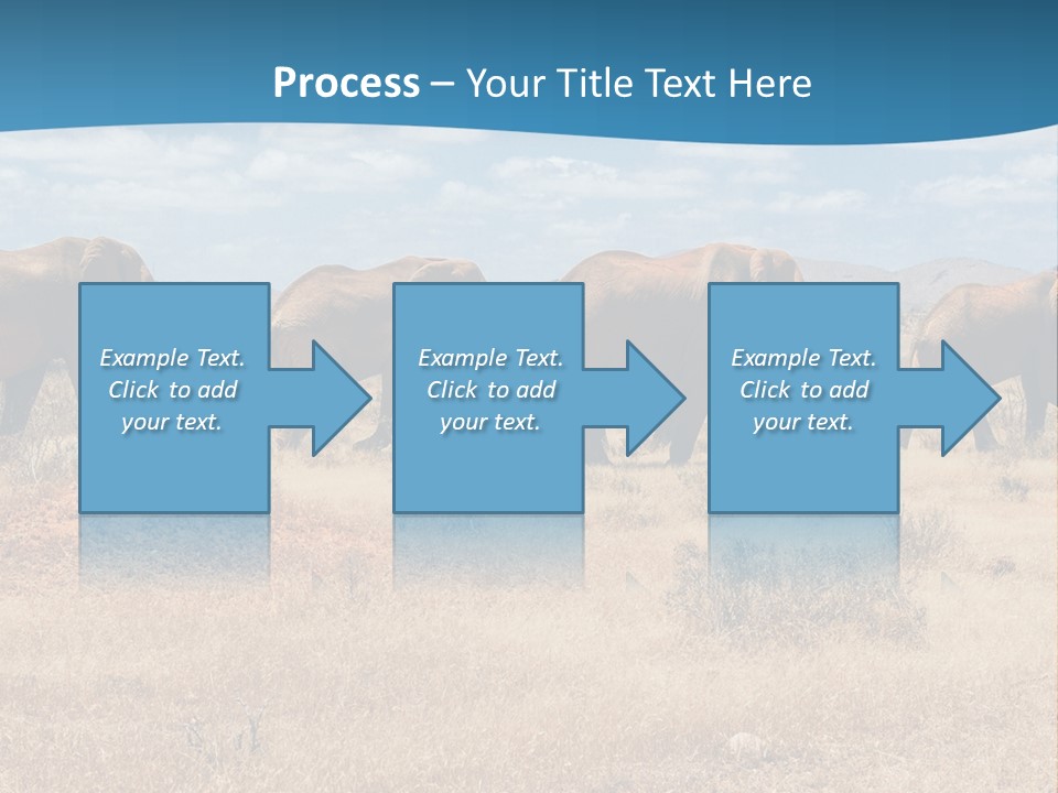 A Herd Of Elephants Walking Across A Dry Grass Field PowerPoint Template