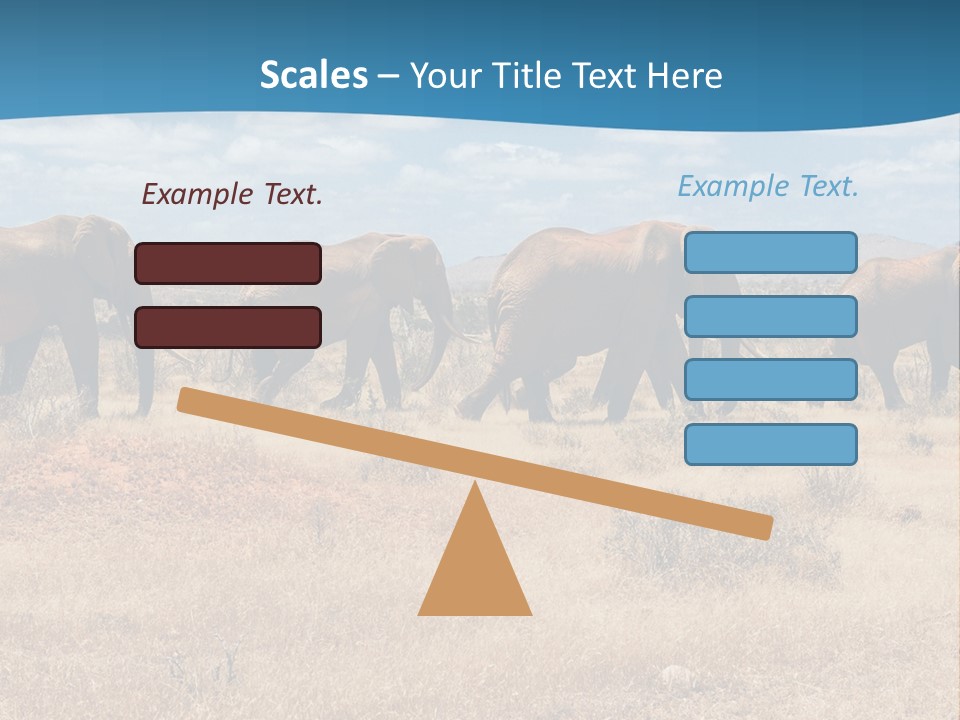 A Herd Of Elephants Walking Across A Dry Grass Field PowerPoint Template